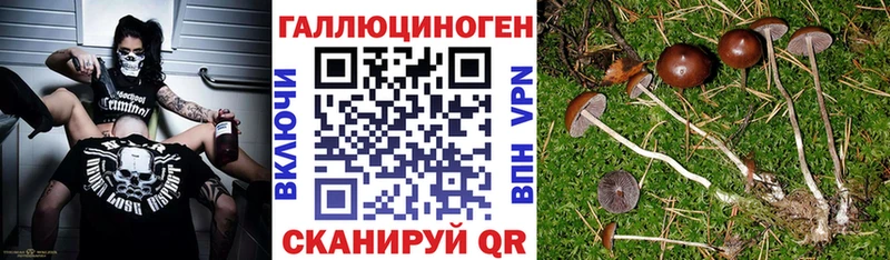 hydra ссылка  darknet клад  Галлюциногенные грибы Psilocybe  Харабали 