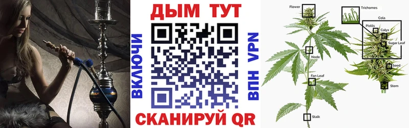 mega ссылка  Харабали  Конопля тримм  наркошоп 